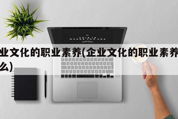 企业文化的职业素养(企业文化的职业素养是什么)